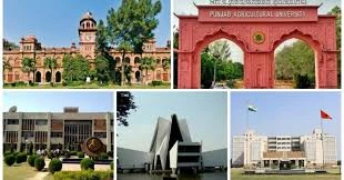 Top Universities of Punjab: A Complete Guide for Students