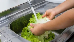 Cyclospora spreads through ingestion of contaminated food or water, especially raw produce like lettuce, salad greens, and raspberries.