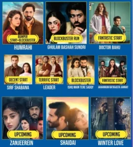 The Most Popular Shows of the Year