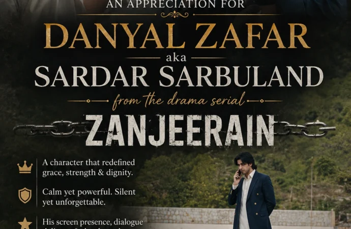 Danyal Zafar as Sarbuland in Zanjeerain: No.1 Actor’s Breakout Role