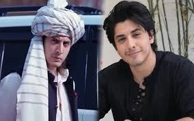 Danyal Zafar as Sarbuland 