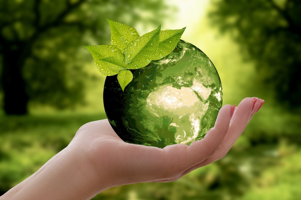 Environment and Sustainability