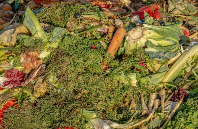 Environment and Sustainability