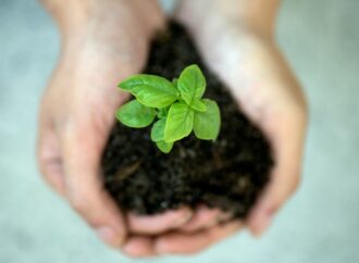 Environment and Sustainability