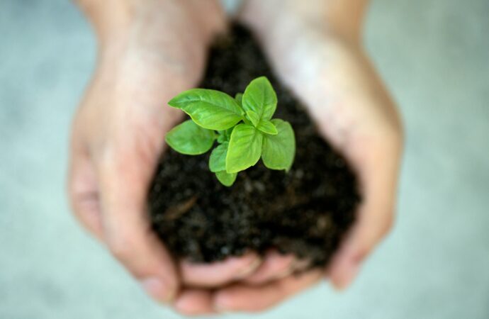 Environment and Sustainability